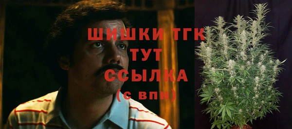 прущие грибы Дмитриев