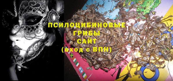 прущие грибы Дмитриев