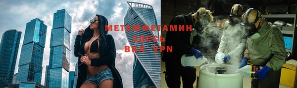 прущие грибы Дмитриев