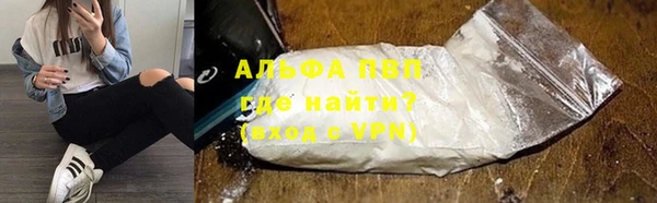 прущие грибы Дмитриев