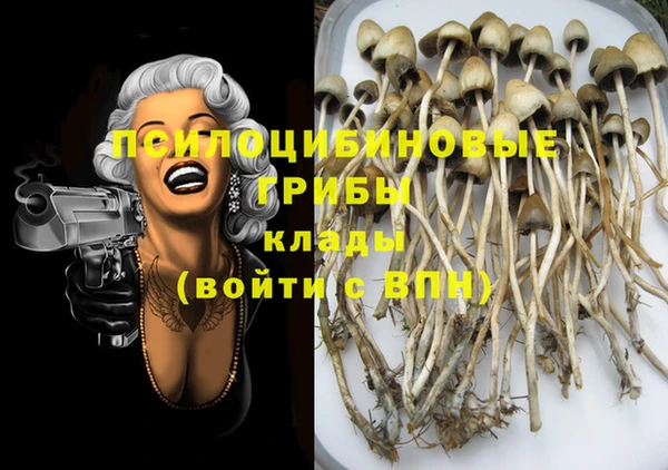 PSILOCYBIN Дмитровск