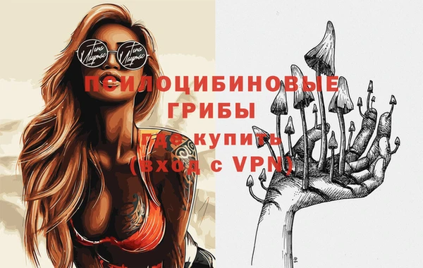 spice Дмитров