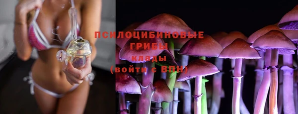 PSILOCYBIN Дмитровск