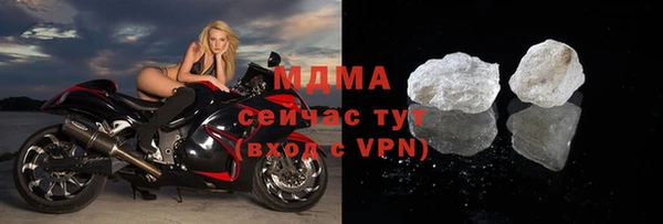 прущие грибы Дмитриев