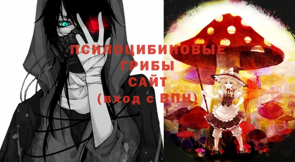 PSILOCYBIN Дмитровск