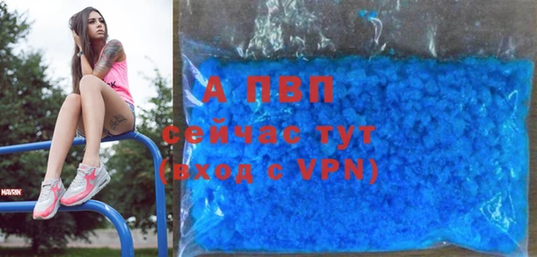 прущие грибы Дмитриев