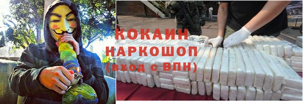 прущие грибы Дмитриев