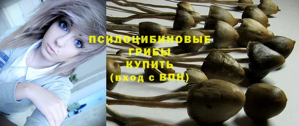 PSILOCYBIN Дмитровск
