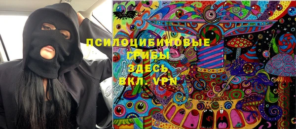 прущие грибы Дмитриев