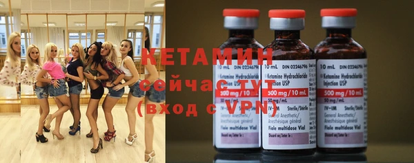прущие грибы Дмитриев