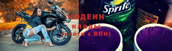 прущие грибы Дмитриев