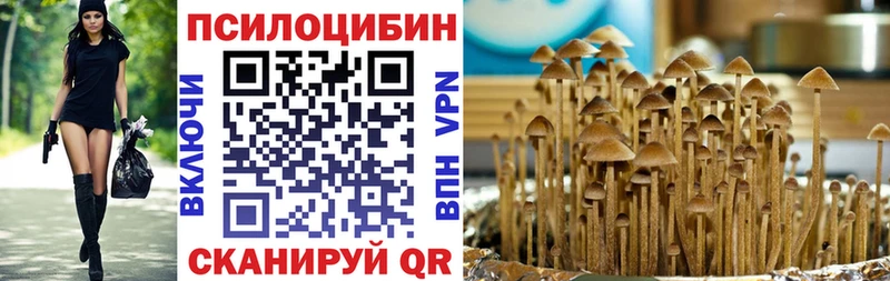 blacksprut ССЫЛКА  Спасск-Рязанский  Псилоцибиновые грибы Cubensis 
